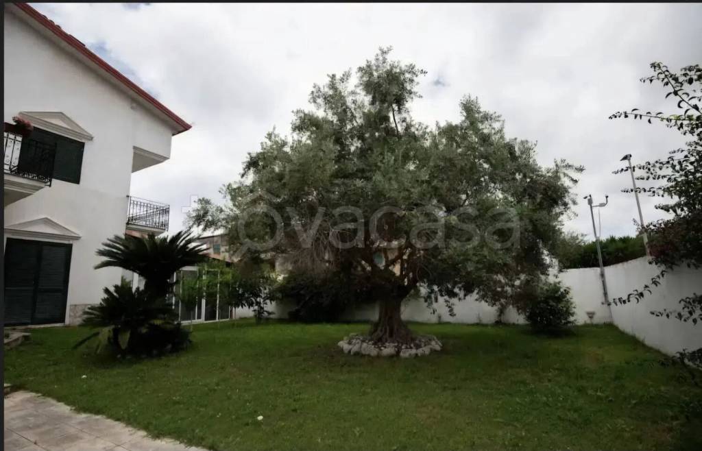 casa indipendente in affitto a Villaricca