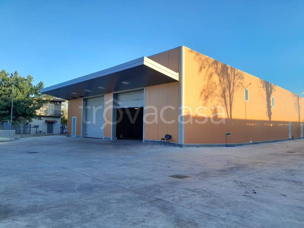 locale commerciale in affitto a Volla