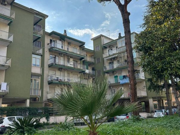 appartamento in affitto a Volla