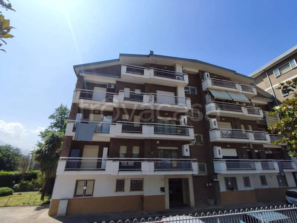 appartamento in affitto ad Avellino