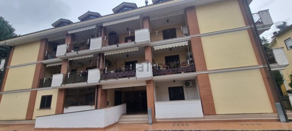 appartamento in affitto ad Avellino