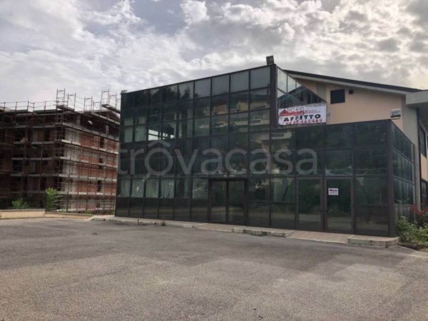 casa indipendente in affitto ad Avellino