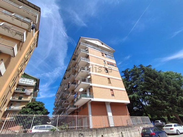 appartamento in affitto ad Avellino