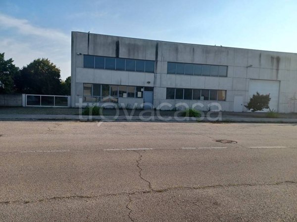 appartamento in affitto ad Alba in zona Mussotto