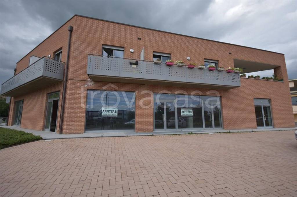 trivano in affitto ad Alba