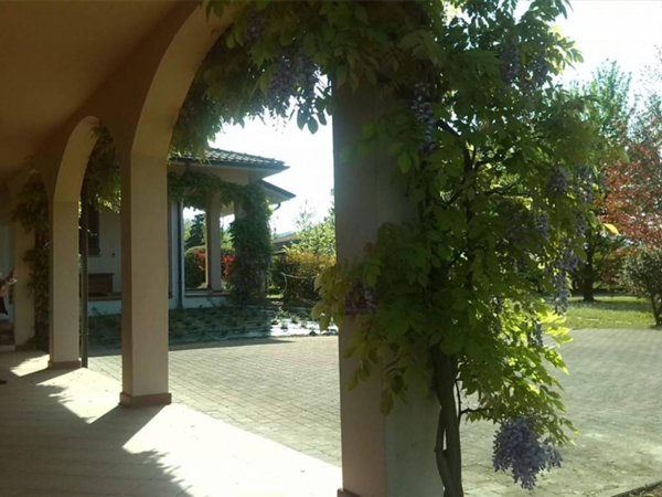 negozio in affitto ad Alba