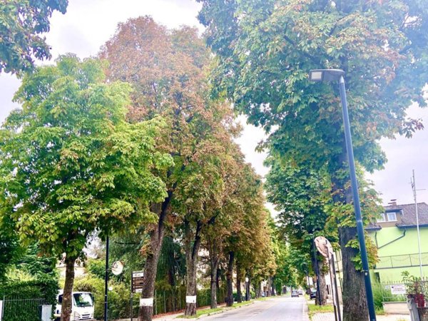 negozio in affitto ad Alba in zona Mussotto