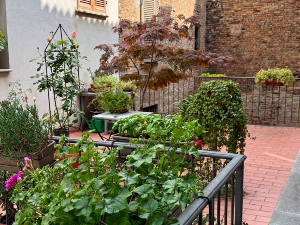 appartamento in affitto ad Alba