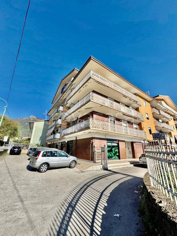 immagine annuncio 0 di 12