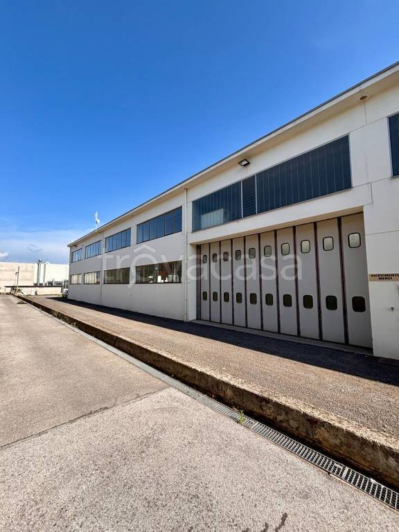 locale commerciale in affitto a Borgo San Dalmazzo