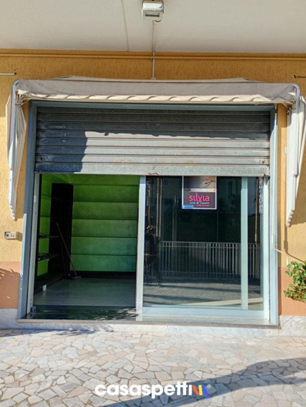 locale commerciale in affitto ad Albanella