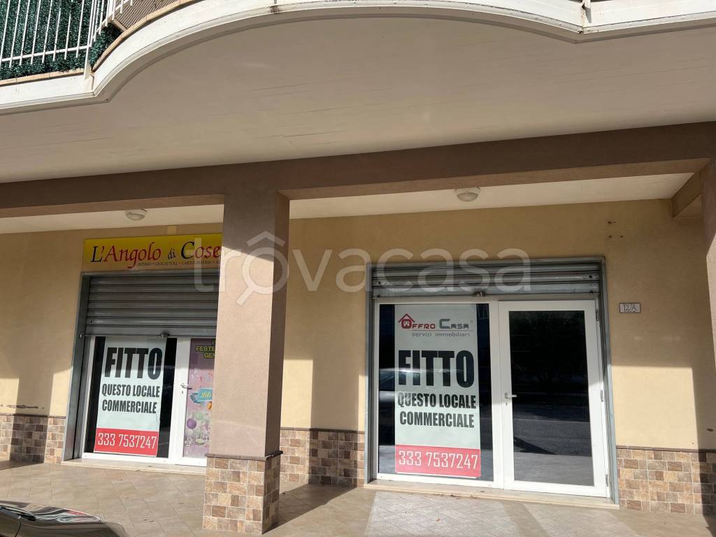 negozio in affitto ad Albanella