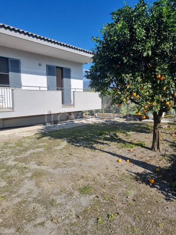 casa indipendente in affitto ad Angri