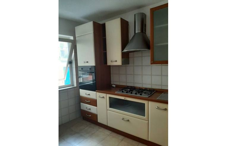 appartamento in affitto ad Ascea