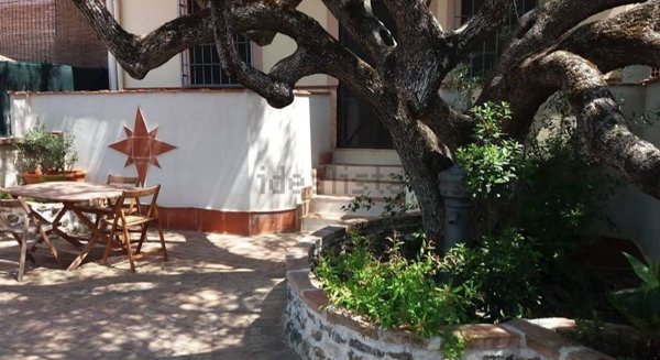 appartamento in affitto ad Ascea