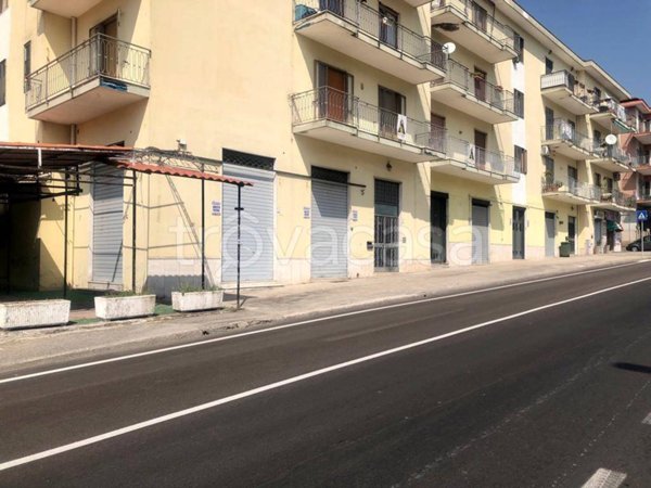 immagine annuncio 0 di 15