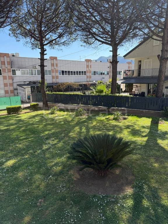 casa indipendente in affitto a Baronissi in zona Orignano