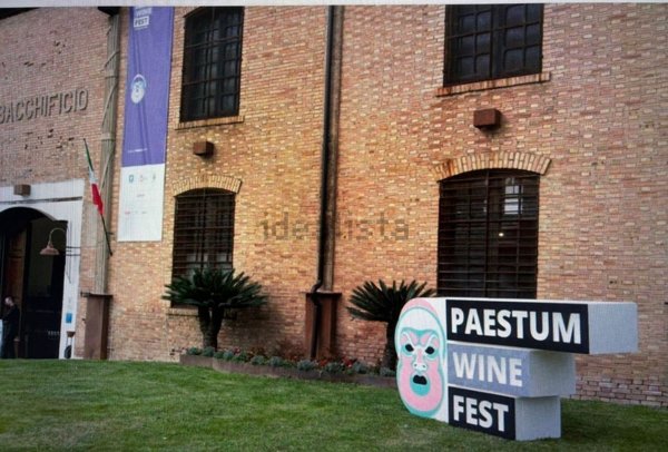 locale commerciale in affitto a Capaccio Paestum in zona Cafasso/Borgo Nuovo