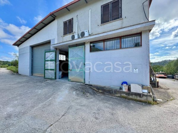 locale commerciale in affitto a Castellabate