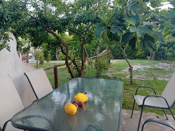 appartamento in affitto a Castellabate