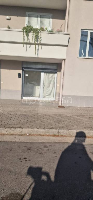 negozio in affitto a Castel San Giorgio in zona Lanzara