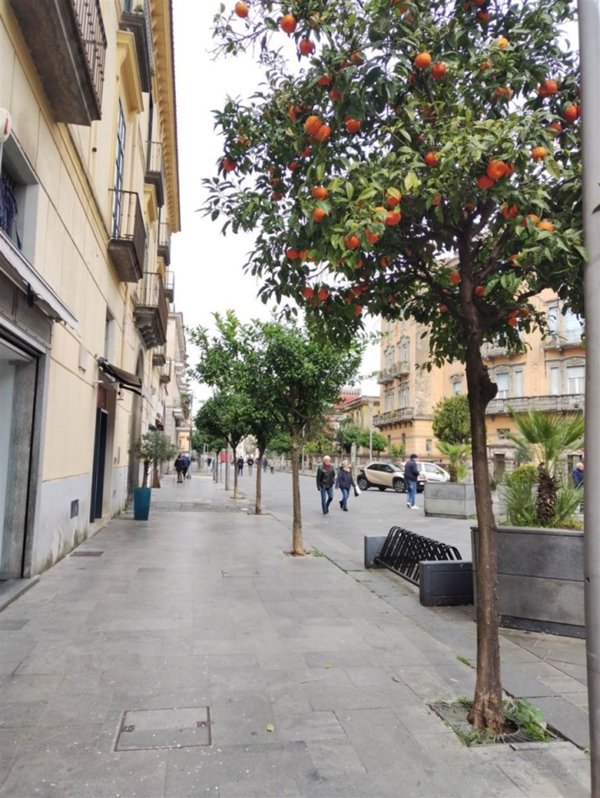 negozio in affitto a Cava de' Tirreni
