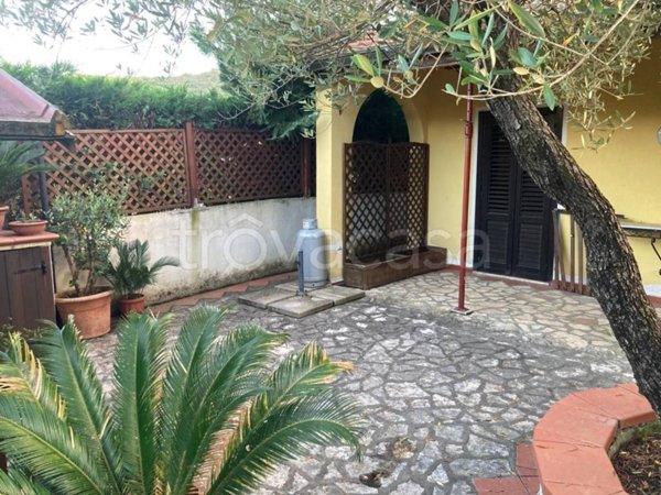 casa indipendente in affitto a Centola in zona Palinuro