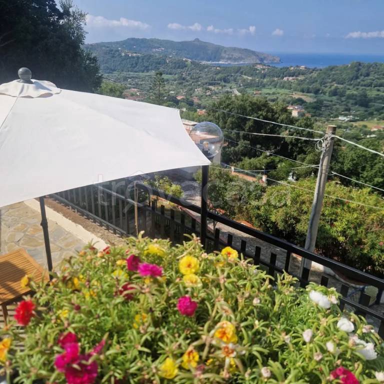 appartamento in affitto a Centola in zona Palinuro