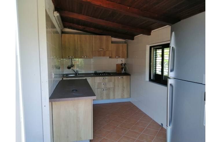 casa indipendente in affitto a Centola in zona Palinuro