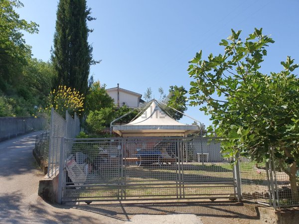 appartamento in affitto a Centola