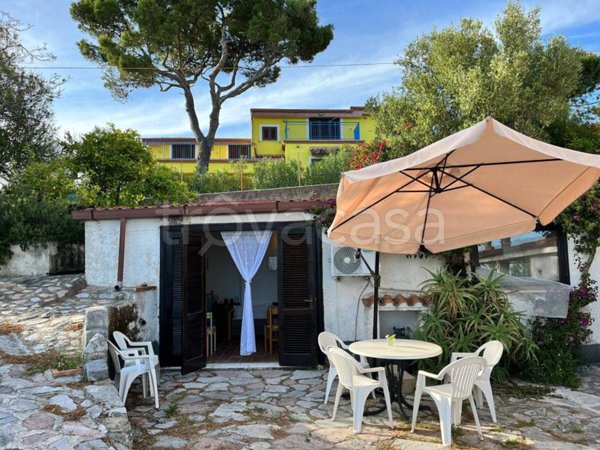 appartamento in affitto a Centola in zona Palinuro