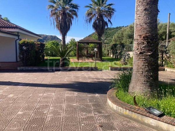 casa indipendente in affitto a Centola in zona Palinuro