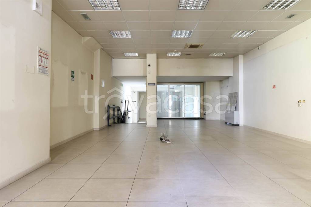 immagine annuncio 0 di 14