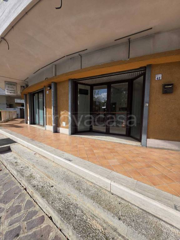 immagine annuncio 0 di 10