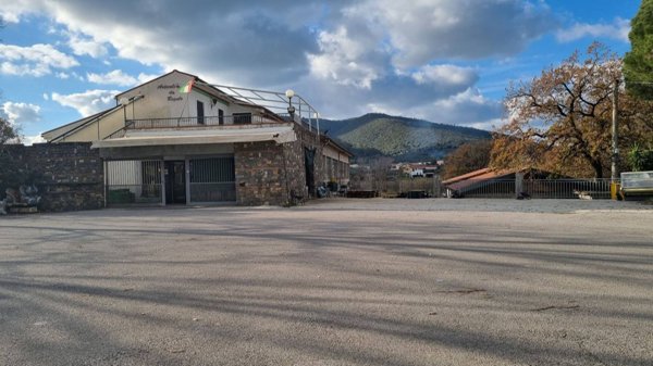 locale commerciale in affitto a Montecorice in zona Case del Conte