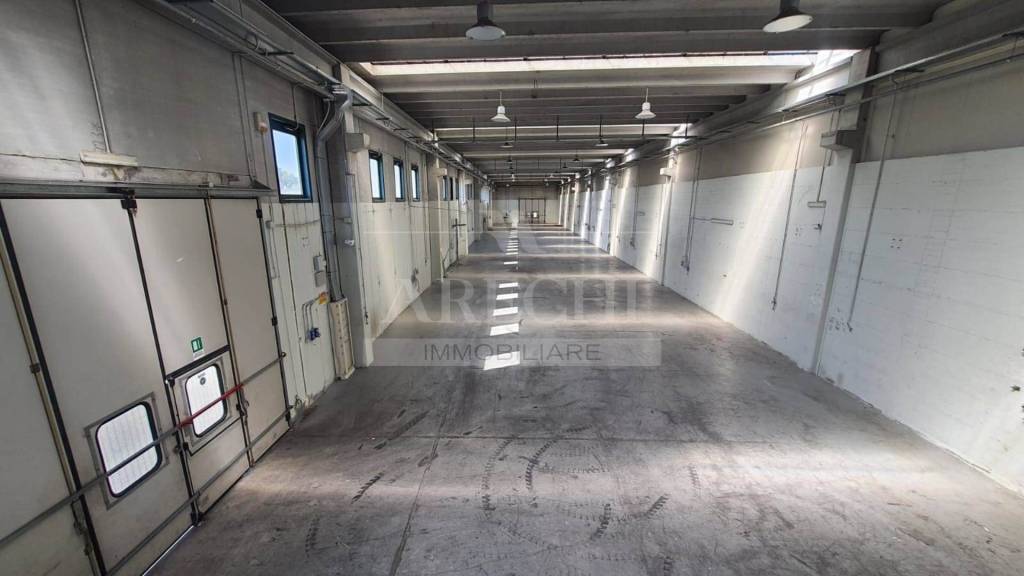 locale commerciale in affitto a Montecorvino Pugliano