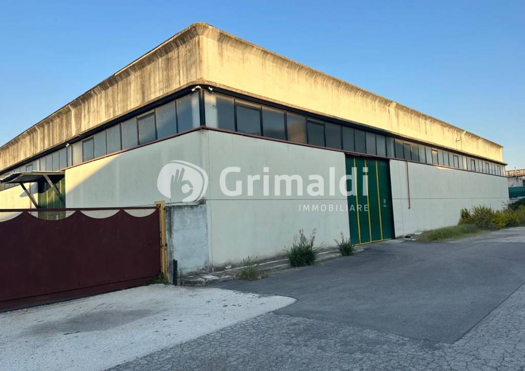 locale commerciale in affitto a Montecorvino Pugliano in zona Pagliarone