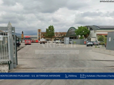 terreno agricolo in affitto a Montecorvino Pugliano