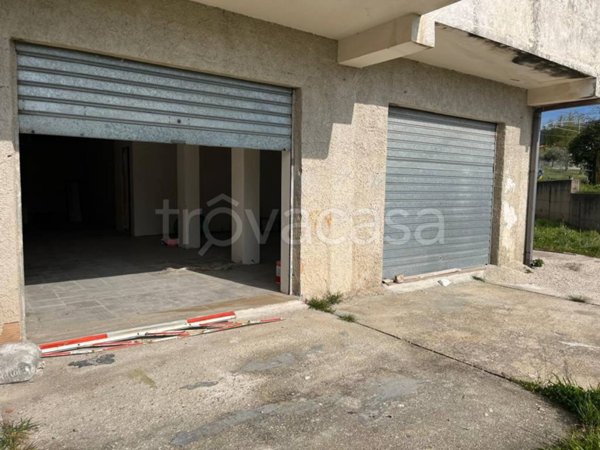 appartamento in affitto a Perdifumo in zona Mercato Cilento