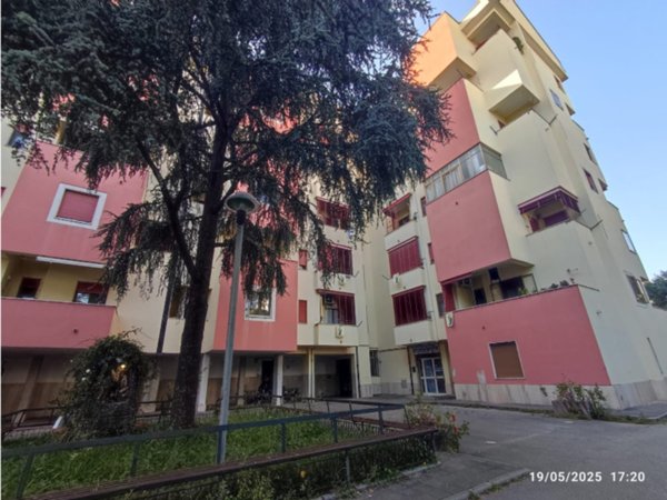 appartamento in affitto a Pontecagnano Faiano