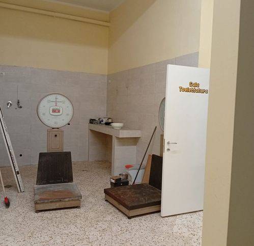 negozio in affitto a Pontecagnano Faiano