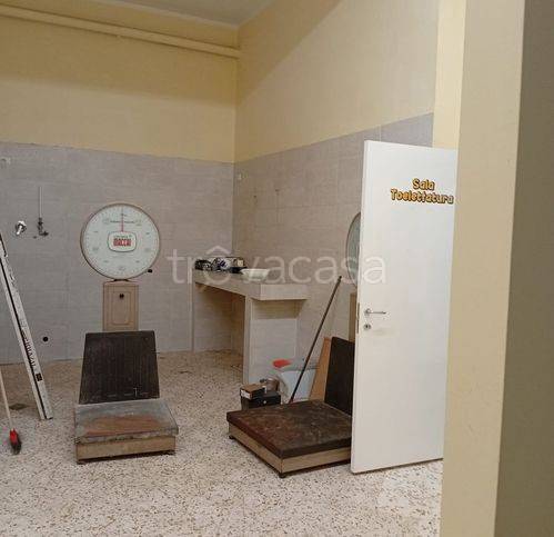 negozio in affitto a Pontecagnano Faiano