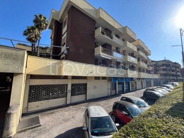 quadrivano in affitto a Salerno