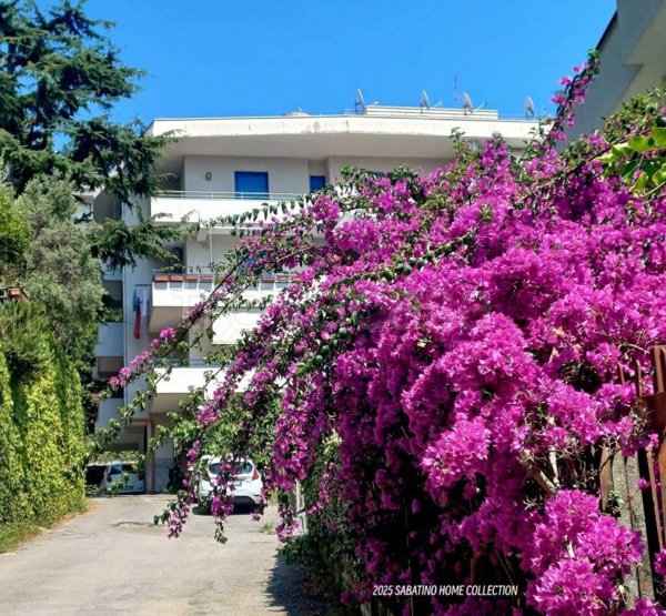 appartamento in affitto a Salerno in zona Sala Abbagnano
