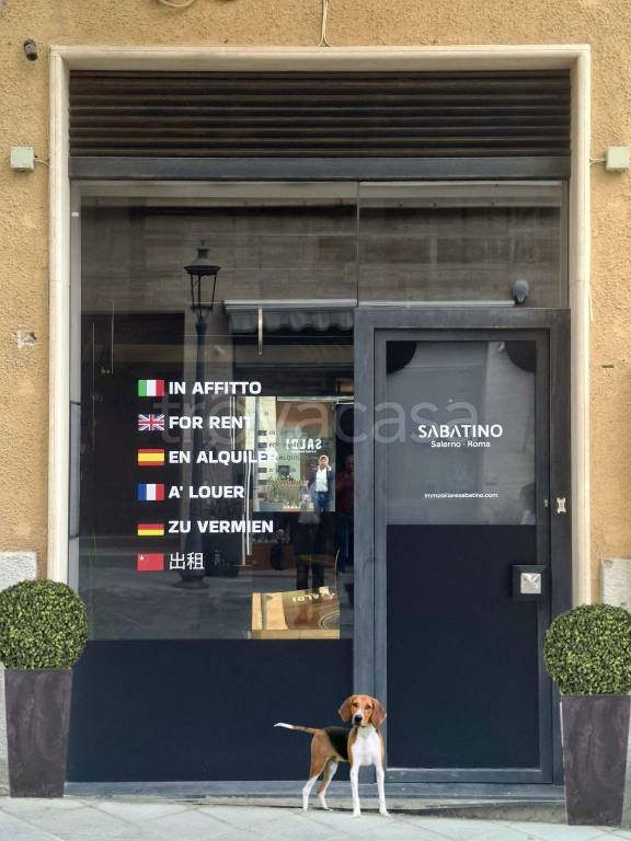 appartamento in affitto a Salerno in zona Centro Città