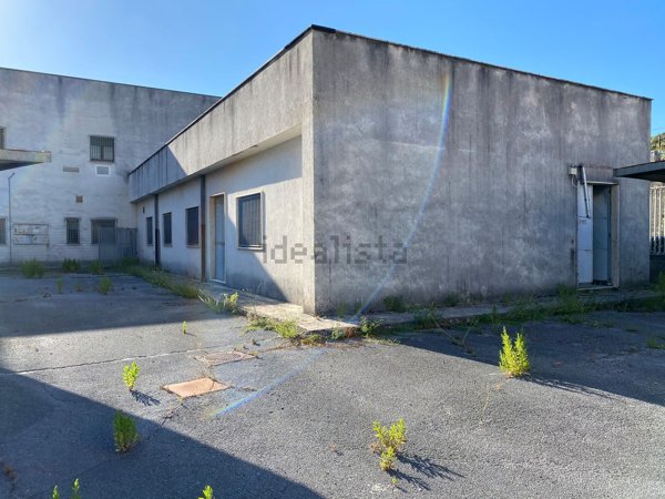 locale commerciale in affitto a Sapri