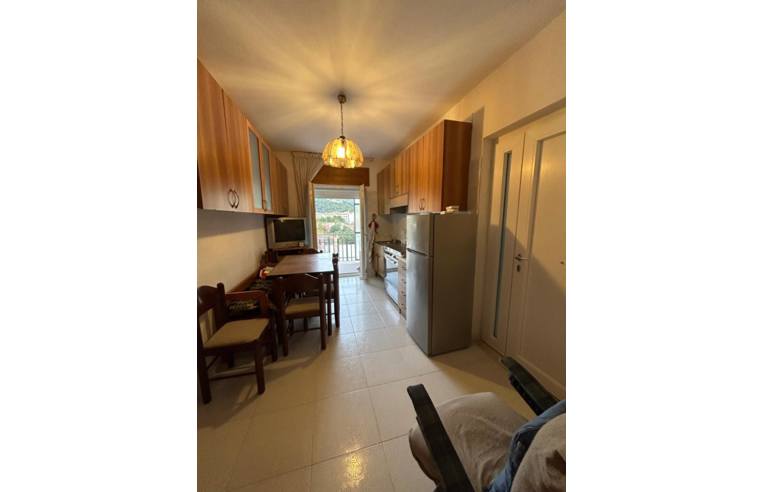 appartamento in affitto a Sapri