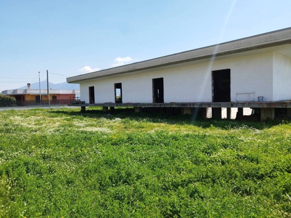 intera palazzina in affitto a Scafati