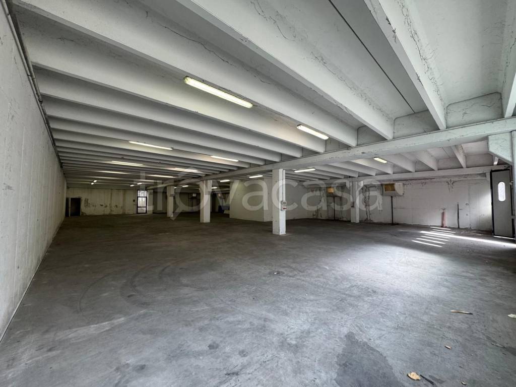 locale commerciale in affitto a Cuneo in zona Madonna dell'Olmo