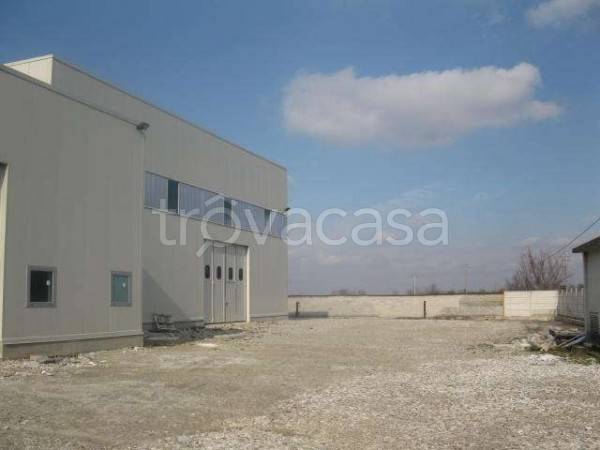 locale commerciale in affitto a Cuneo in zona San Benigno
